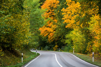 Картинка природа дороги простор