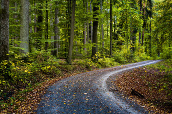 Картинка природа дороги простор