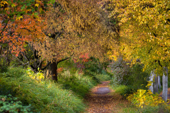 Картинка природа дороги простор