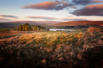 Картинка природа пейзажи простор