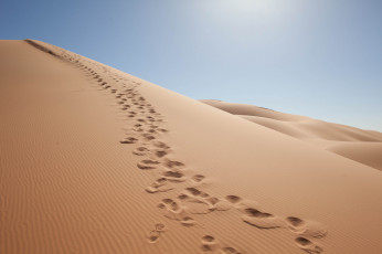 Картинка природа пустыни простор