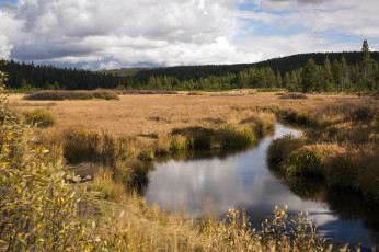 Картинка природа реки озера простор