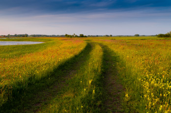 Картинка природа дороги простор