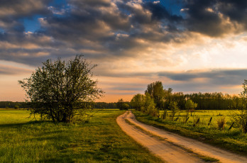 Картинка природа дороги простор