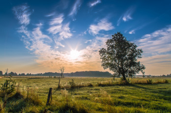 Картинка природа пейзажи простор