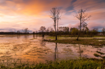 Картинка природа реки озера простор