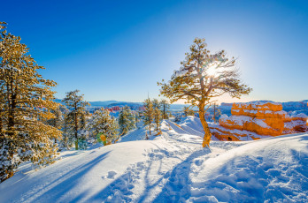 Картинка природа зима простор