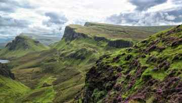 Картинка природа горы зелень вереск