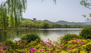 Картинка природа реки озера простор