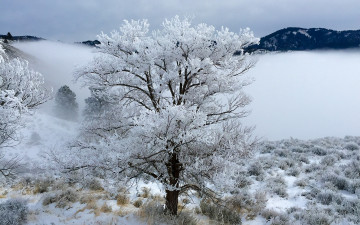 Картинка природа зима простор