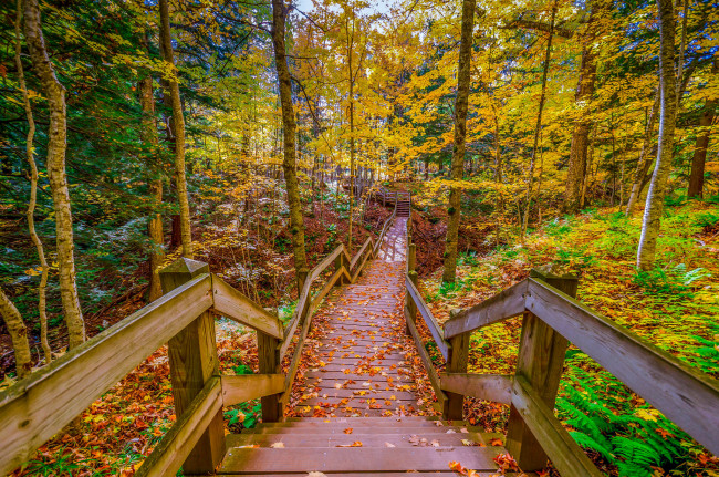 Обои картинки фото природа, дороги, простор