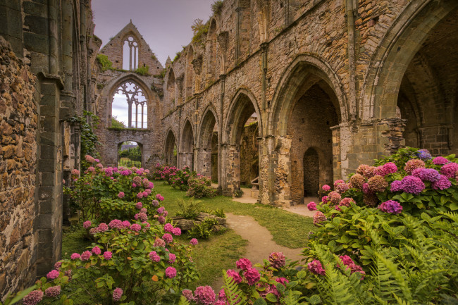 Обои картинки фото города, - католические соборы,  костелы,  аббатства, простор