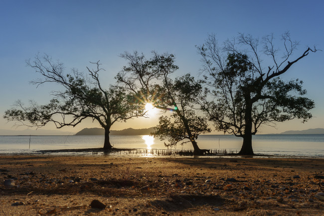 Обои картинки фото природа, пейзажи, простор