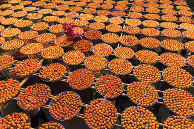 Обои картинки фото еда, хурма, круги, фрукты