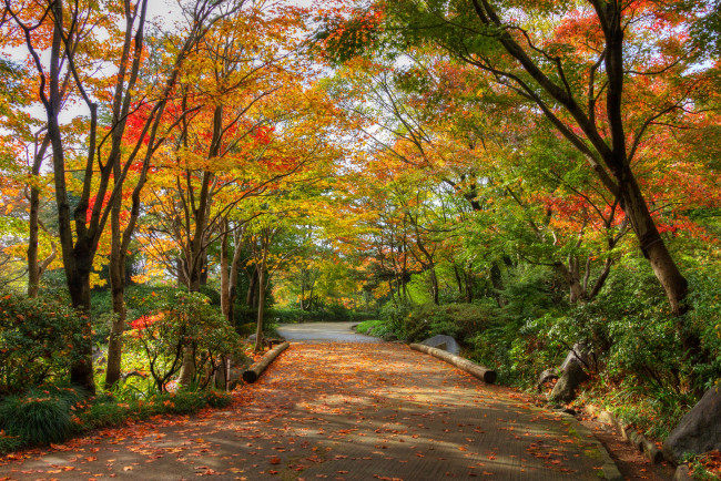 Обои картинки фото природа, дороги, простор