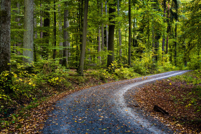 Обои картинки фото природа, дороги, простор