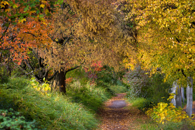 Обои картинки фото природа, дороги, простор