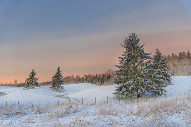 Обои картинки фото природа, зима, простор