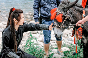 Картинка разное знаменитости сяо джань костюм люди ослик