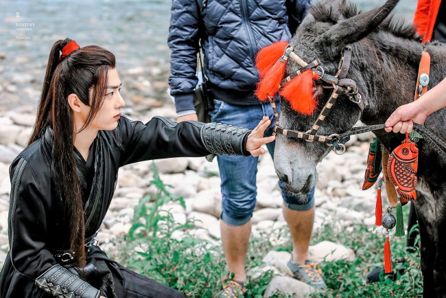 Обои картинки фото разное, знаменитости, сяо, джань, костюм, люди, ослик