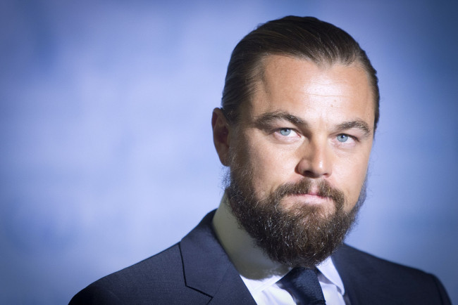 Обои картинки фото мужчины, leonardo dicaprio, актер, лицо, борода