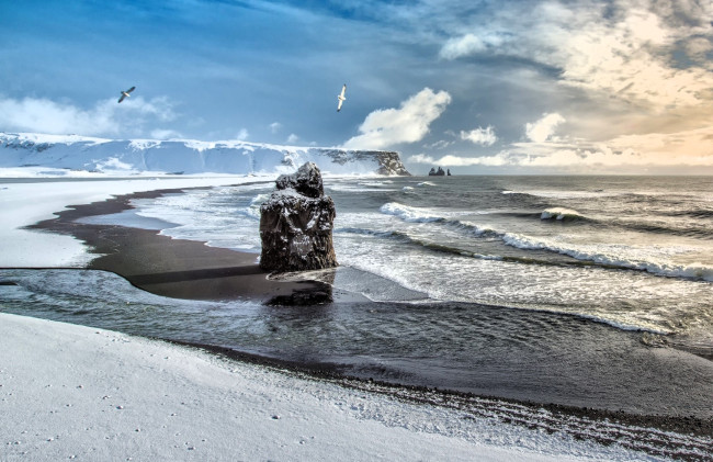 Обои картинки фото природа, побережье, тучи, берег, море, чайки, камень, обрыв