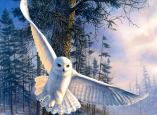 обоя рисованное, животные,  птицы,  совы,  филины, сова, белая, полярная, птица, лес, снег, зима