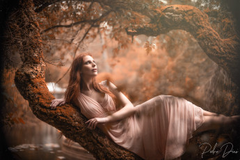 Картинка красивая+девушка девушки -+рыжеволосые+и+разноцветные девушка женщина рыжая светлая тёмная сексуальная модель звезда позирует разная обувь верхняя стильная одежда нижнее эротическое бельё трусы лифчик колготки чулки аксессуары макияж и множество элементов на фотографии