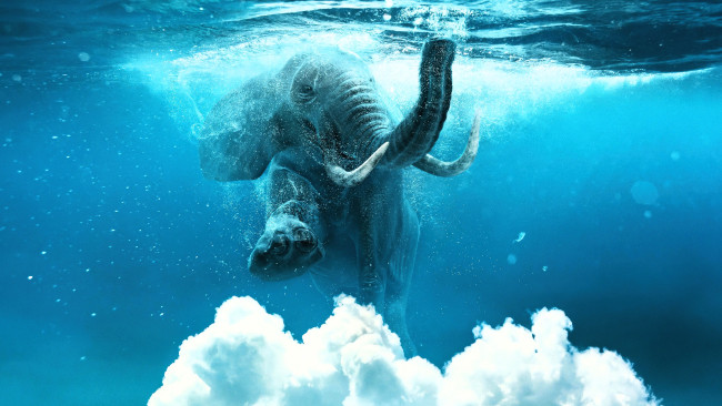 Обои картинки фото 3д графика, животные , animals, слон, вода, плавание