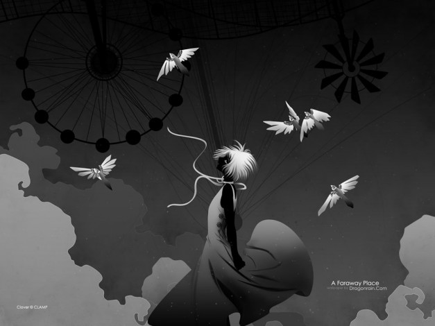 Обои картинки фото аниме, clover