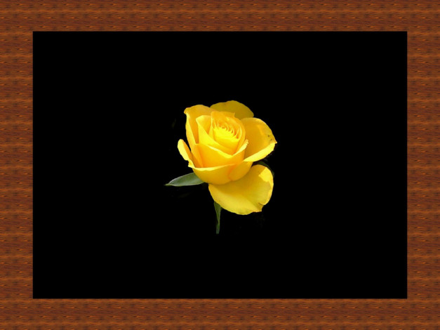 Обои картинки фото разное