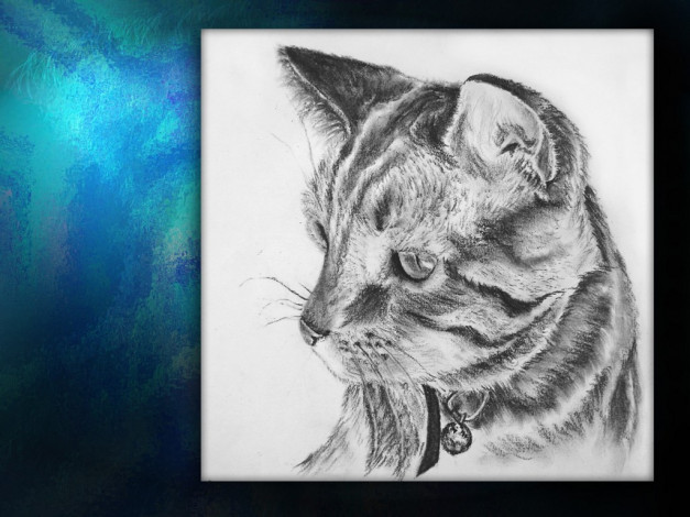 Обои картинки фото рисованные, животные, коты