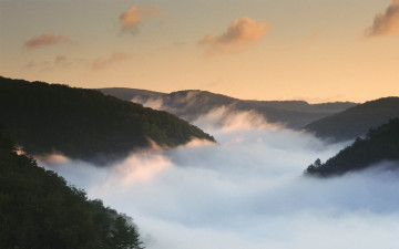 Картинка природа