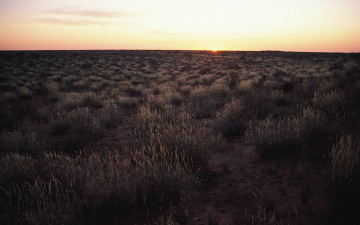 Картинка природа