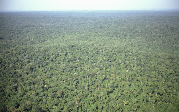 Картинка природа