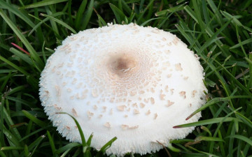 Картинка природа