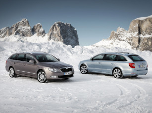 Картинка автомобили skoda