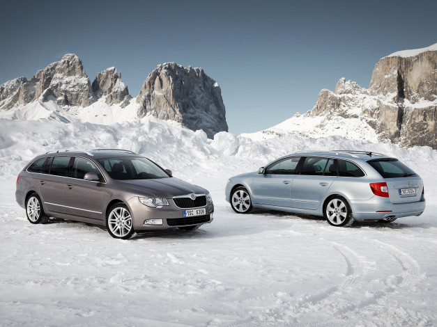 Обои картинки фото автомобили, skoda