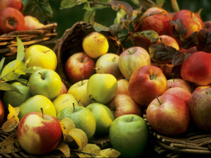 Картинка еда Яблоки