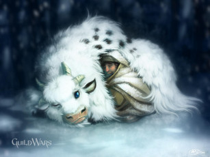 Картинка видео игры guild wars