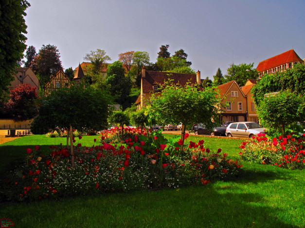Обои картинки фото города, здания, дома, цветы, автомобили
