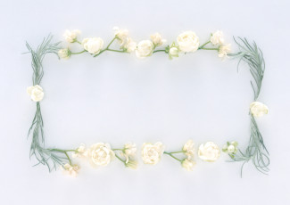 Картинка цветы разные вместе бутоны