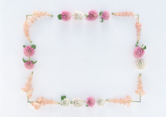 Картинка цветы разные вместе бутоны