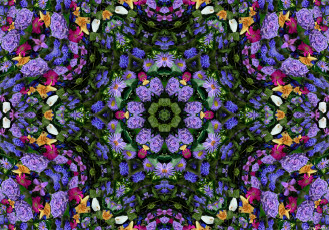 Картинка разное компьютерный дизайн цветы цвета