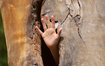 Картинка разное руки дупло рука