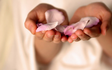 Картинка разное руки ладони лепестки