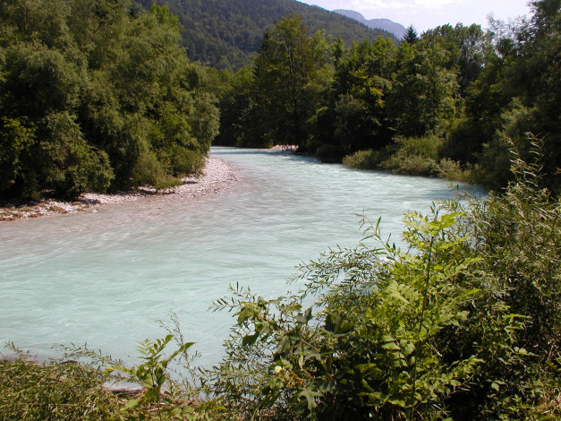 Обои картинки фото природа, реки, озера, река, деревья