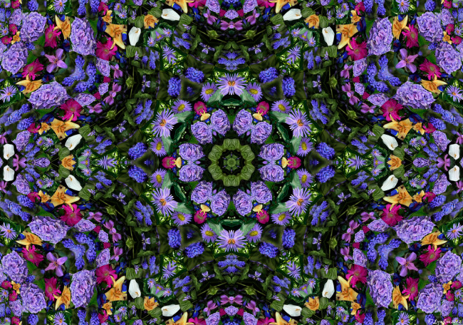 Обои картинки фото разное, компьютерный, дизайн, цветы, цвета