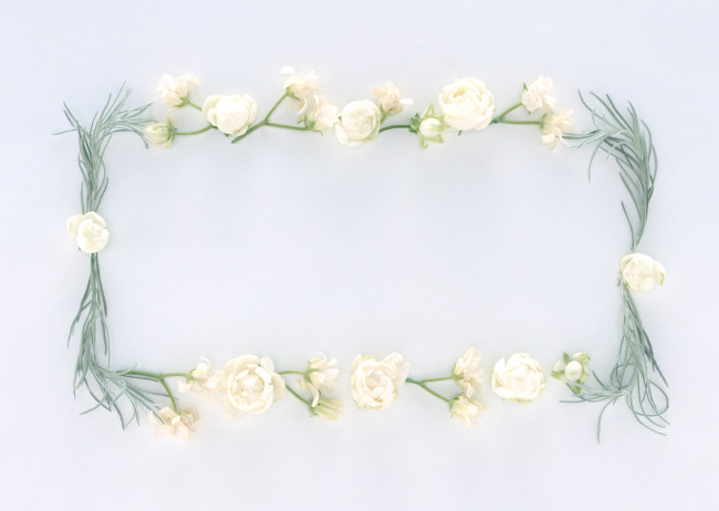 Обои картинки фото цветы, разные, вместе, бутоны