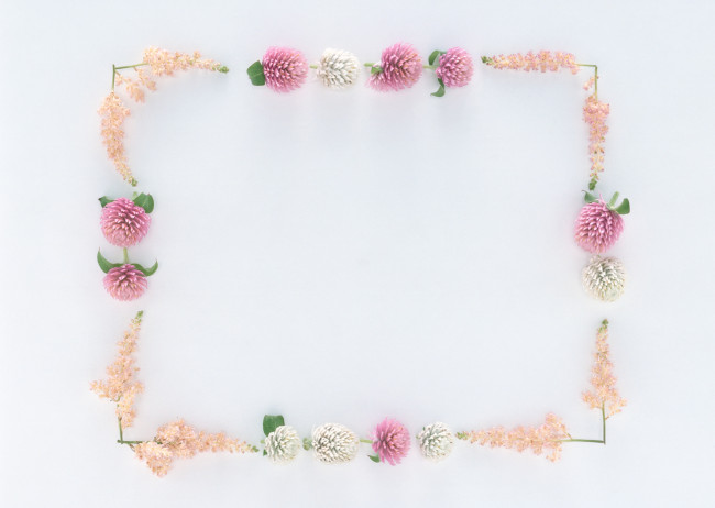 Обои картинки фото цветы, разные, вместе, бутоны